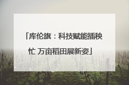 库伦旗：科技赋能插秧忙 万亩稻田展新姿