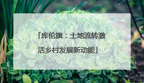 库伦旗：土地流转激活乡村发展新动能