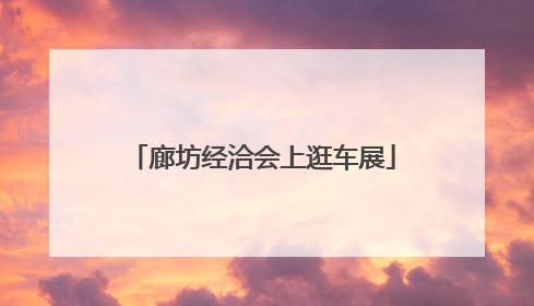 廊坊经洽会上逛车展