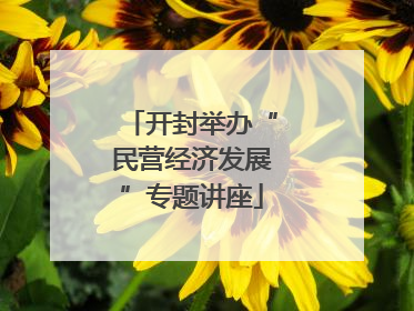 开封举办“民营经济发展”专题讲座