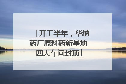 开工半年，华纳药厂原料药新基地四大车间封顶