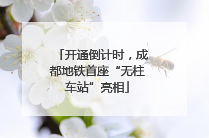 开通倒计时，成都地铁首座“无柱车站”亮相