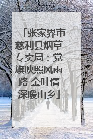 张家界市慈利县烟草专卖局：党旗映照风雨路 金叶情深暖山乡