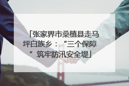 张家界市桑植县走马坪白族乡：“三个保障”筑牢防汛安全堤