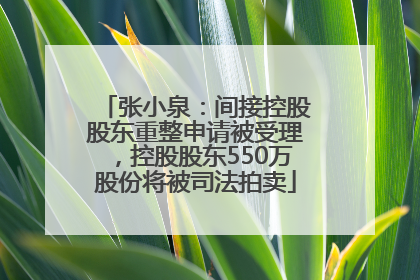 张小泉：间接控股股东重整申请被受理，控股股东550万股份将被司法拍卖