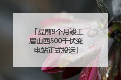 提前9个月竣工 眉山西500千伏变电站正式投运