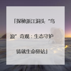 探秘浙江洞头“鸟浪”奇观：生态守护铸就生命驿站