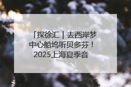 探徐汇｜去西岸梦中心船坞听贝多芬！2025上海夏季音乐节公布节目阵容