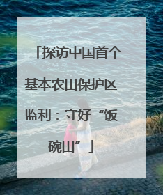 探访中国首个基本农田保护区监利：守好“饭碗田”