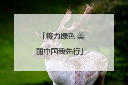 接力绿色 美丽中国我先行