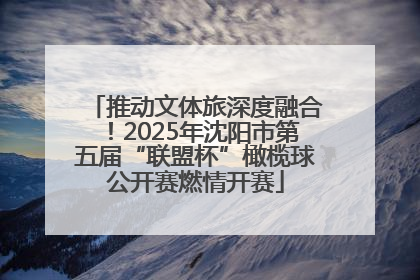 推动文体旅深度融合！2025年沈阳市第五届“联盟杯”橄榄球公开赛燃情开赛