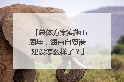 总体方案实施五周年，海南自贸港建设怎么样了？