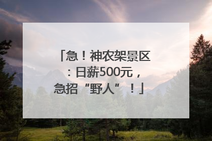 急！神农架景区：日薪500元，急招“野人”！