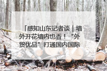 感知山东记者谈｜墙外开花墙内也香！“外贸优品”打通国内国际市场“旋转门”