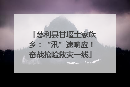 慈利县甘堰土家族乡：“汛”速响应！奋战抢险救灾一线