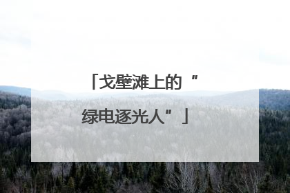 戈壁滩上的“绿电逐光人”