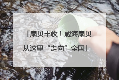 扇贝丰收！威海扇贝从这里“走向”全国