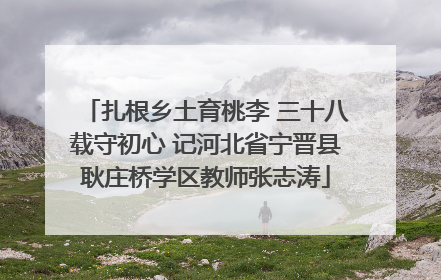 扎根乡土育桃李 三十八载守初心 记河北省宁晋县耿庄桥学区教师张志涛