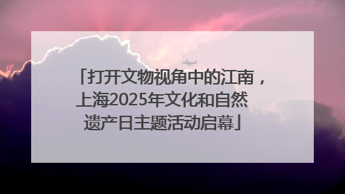 打开文物视角中的江南，上海2025年文化和自然遗产日主题活动启幕