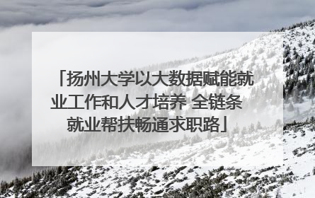 扬州大学以大数据赋能就业工作和人才培养 全链条就业帮扶畅通求职路