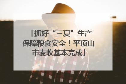 抓好“三夏”生产 保障粮食安全！平顶山市麦收基本完成