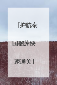护航泰国榴莲快速通关