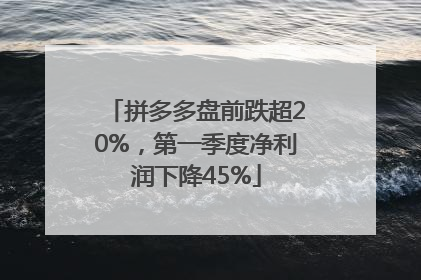 拼多多盘前跌超20%，第一季度净利润下降45%