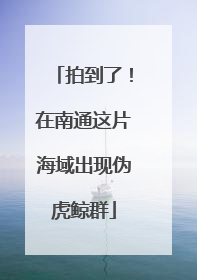 拍到了！在南通这片海域出现伪虎鲸群