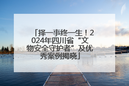 择一事终一生！2024年四川省“文物安全守护者”及优秀案例揭晓