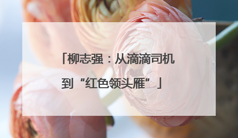 柳志强：从滴滴司机到“红色领头雁”