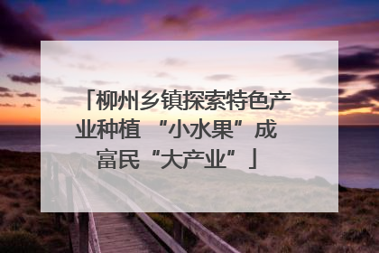 柳州乡镇探索特色产业种植 “小水果”成富民“大产业”
