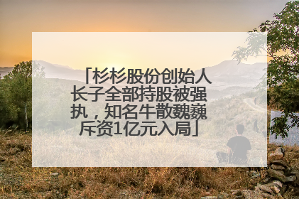 杉杉股份创始人长子全部持股被强执，知名牛散魏巍斥资1亿元入局