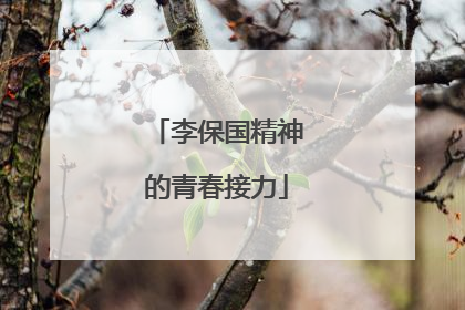 李保国精神的青春接力
