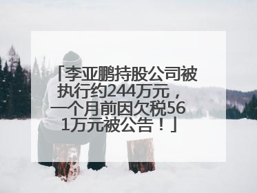 李亚鹏持股公司被执行约244万元，一个月前因欠税561万元被公告！