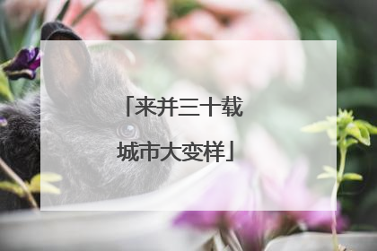 来并三十载 城市大变样