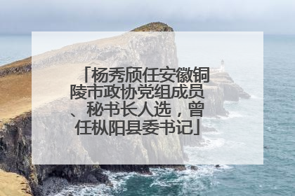 杨秀颀任安徽铜陵市政协党组成员、秘书长人选，曾任枞阳县委书记