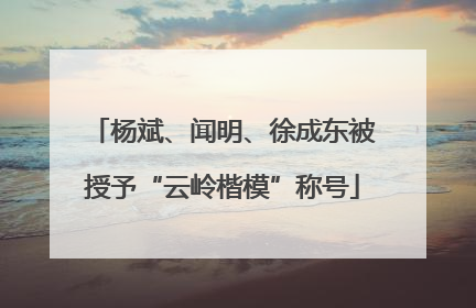 杨斌、闻明、徐成东被授予“云岭楷模”称号