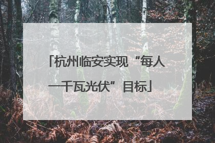 杭州临安实现“每人一千瓦光伏”目标