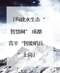 构建水生态“智慧网” 成都青羊“智能哨兵”上岗