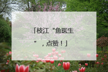 枝江“鱼医生”，点赞！