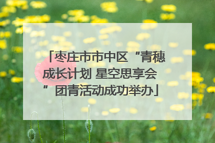 枣庄市市中区“青穗成长计划 星空思享会”团青活动成功举办