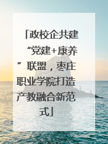 政校企共建“党建+康养”联盟，枣庄职业学院打造产教融合新范式