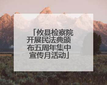 攸县检察院开展民法典颁布五周年集中宣传月活动
