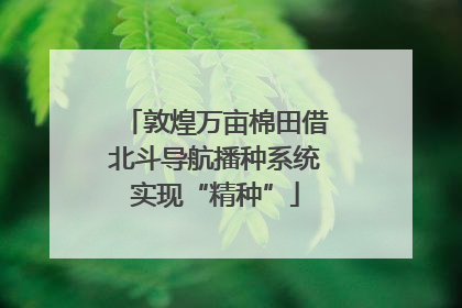 敦煌万亩棉田借北斗导航播种系统实现“精种”