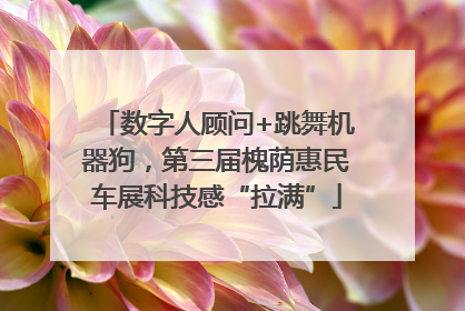 数字人顾问+跳舞机器狗，第三届槐荫惠民车展科技感“拉满”