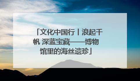 文化中国行丨浪起千帆 深蓝宝藏——博物馆里的海丝遗珍