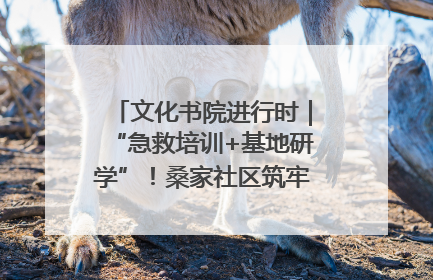 文化书院进行时｜“急救培训+基地研学”！桑家社区筑牢居民健康防线