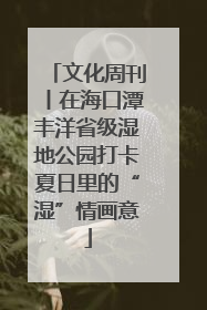 文化周刊丨在海口潭丰洋省级湿地公园打卡夏日里的“湿”情画意