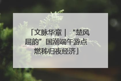 文脉华章｜“楚风屈韵”国潮端午游点燃秭归夜经济