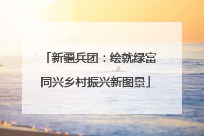 新疆兵团：绘就绿富同兴乡村振兴新图景